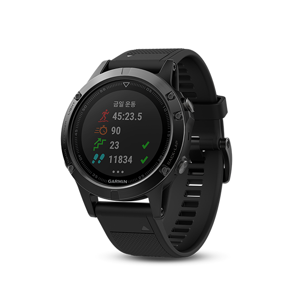 fenix 5