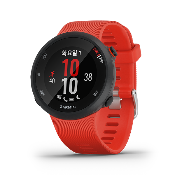 forerunner 45 v 245