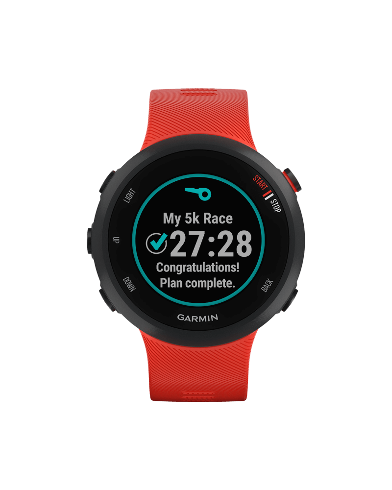 polar forerunner 45s