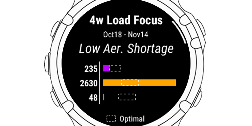 Training Load Focus