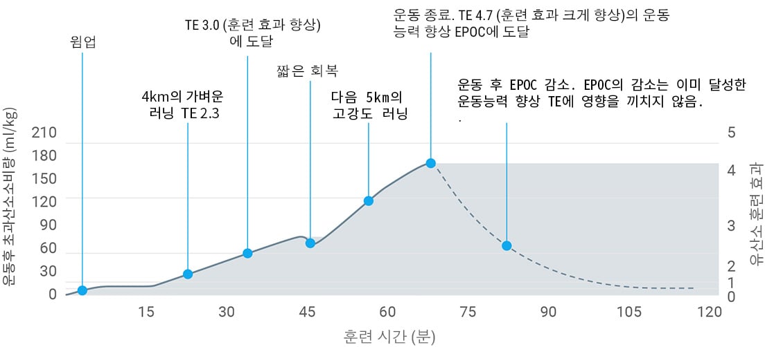 A graph showing excess post-exercise consumption derived from heart rate data during exercise.